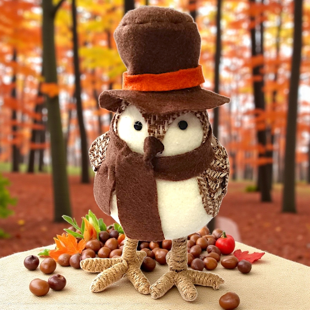 Target Featherly Friends Harvest Bird 2015 FIRST Autumn Felt Top Hat Wondershop - Picture 9 of 14